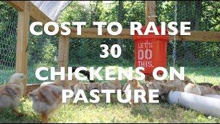 Cost to Raise 30 Chickens on Pasture