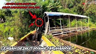 MANCING JATILUHUR TERBARU‼️MAKHLUK DIBELAKANG RAKIT HAMPIR MERENGGUT NYAWA SAYA