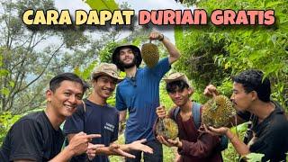 BULE PANEN DURIAN GRATIS DI KAMPUNG‼️ TRIK RAHASIA YANG JARANG DIKETAHUI 