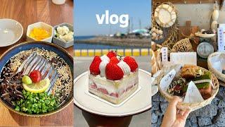 Good restaurants in Jeju | Oream hopping | Living alone in jeju | Vlog