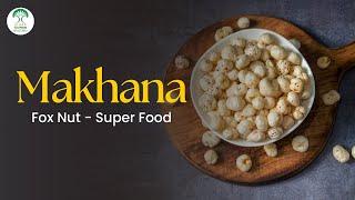 Makhana: A treasure trove of superfoods | Budget 2025 gives it a new identity | Bihar Tourism