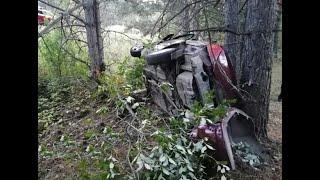 Лишённый прав сбил лошадь: три юноши попали в смертельное ДТП в Башкирии