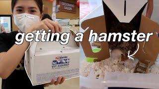 GETTING MY HAMSTER!! + hamster supplies haul | Oli Nicole