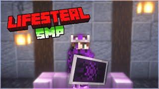 Minecraft, But It's a lifesteal Smp Application