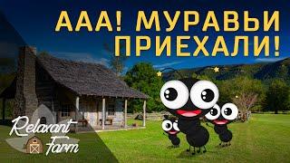 Relaxant Farm  Муравьи и Муравьиная ферма от "4Ants.ru"