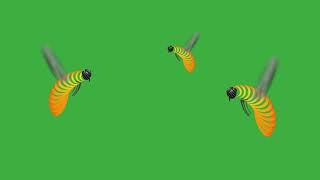 Flying Honey Bees - Copyright free green screen background