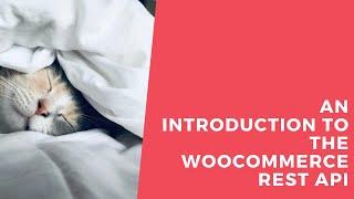 Introduction To The WooCommerce Rest API