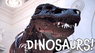 Dinosaurs! Fun Dino Facts for Toddlers and Preschoolers