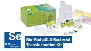 Webinar: Demonstrating gene regulation using the Bio Rad pGLO Bacterial Transformation Kit