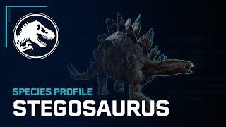 Species Profile - Stegosaurus