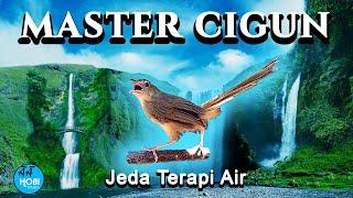 Master CIGUN, Ciblek Gunung + Jeda Terapi Air