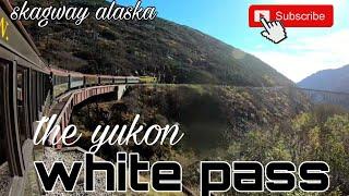 yukon whitepass | mga kalikasan ng  alaska |  skagway alaska | scenic cruising