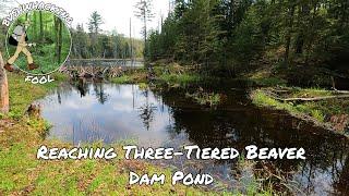 Reaching Three-Tiered Beaver Dam Pond | Birdathon | Pepperbox Wilderness