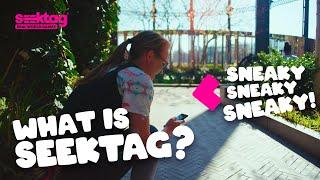 What is Seektag? | Seektag Guides