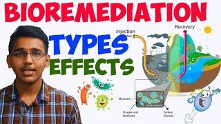 what is bioremediation?/types/effects