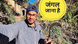 हमारे केले के बगीचे || Pahadi lifestyle vlogs || Akki ke vlogs