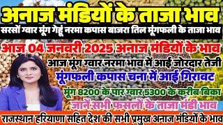 अनाज मंडी भाव| 04/01/2025 नरमा ग्वार मूंग भाव में आई जोरदार तेजी| मूंगफली कपास चना भाव में आई गिरावट