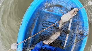 Checking the net in Utqiagvik Ak.