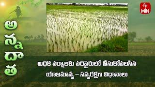 Care in flood effected paddy fields | Etv