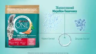 Purina ONE® Bifensis®. Допомагає підтримувати мікробіом кишечника вашої кішки у балансі!