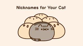 Pusheen: Nicknames for Your Cat