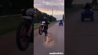 Стант MOTOALEKS. Прогаси смарт Макс 150