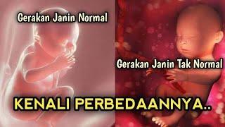 Gerakan Janin yang Normal dan Tidak Normal