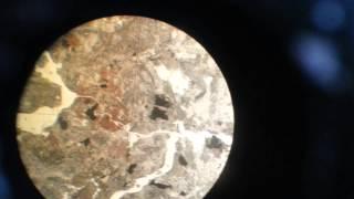 Migmatite - Metamorphic Rocks under Microscope