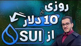 سود 800 درصدی در چین سویی | بیشترین سود در چین سویه | سولانای اینده اینه؟