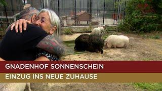 Die "Harten Hunde" rühren Hofleiterin zu Tränen  | Harte Hunde