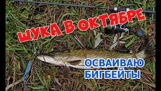 ЩУКА в октябре НА БИГБЕЙТЫ, но сегодня только "ДВУШКИ"