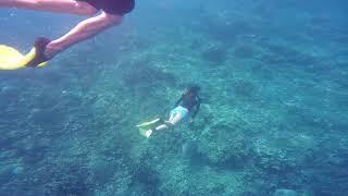 Free Diving 101 - Dive 7000 Anilao