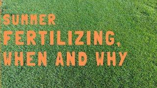 Summer Fertilizer, When and Why