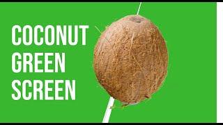Coconut Rotating Green Screen background | HD | FREE DOWNLOAD