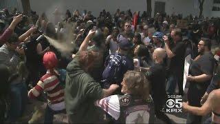 Bloody Clashes As Trump Protesters, Supporters Exchange Blows At Berkeley Rally