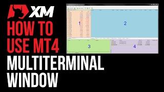 MT4 Multi-terminal Window Basics - MT4 Tutorials - XM