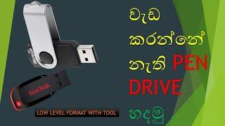 Damage Flash Drive Repair Sinhala