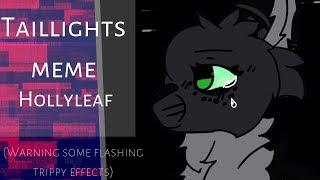 Tail Lights meme //Hollyleaf// (Flipaclip/Kinemaster)