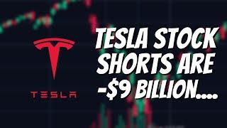 Watch This Before Tomorrow Morning. (Tesla Stock Investors)