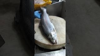 Australia Whole Fresh Salmon Fast Fish Cutting Skills#shorts