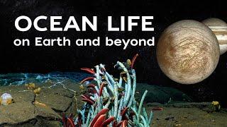 Exploring Oceans on Earth and Beyond