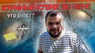 Сода, мазь, куриный кубик ВНУТРИВЕННО | Что будет? | Не повторять!