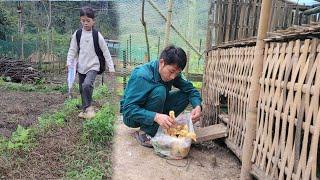 Using the remaining money, the uncle bought another flock of ducklings for the little girl.