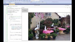 How to Load an Image into Windows Control