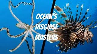 Masters of Disguise: Secrets of the Deep Sea