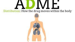 Pharmacology and ADME Explained | A PharmBite by SimplePharm #short