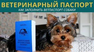 Ветеринарный паспорт для собак Украина: как заполнять ветеринарный документ щенка (все развороты)