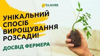 УНІКАЛЬНИЙ СПОСІБ ВИРОЩУВАННЯ РОЗСАДИ: ДОСВІД ФЕРМЕРА