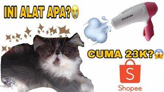 Cara Memandikan Kucing (Grooming Kucing) + Review (TRY ON) Hair Dryer 23K SHOPEE!!!!