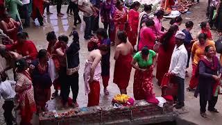 Holi bath ll नुहादै गर्दा ll NTV 420 ll Nepali Tiktok video l popular video l Halka Ramailo l funny